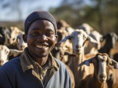 Sahel : Un challenge pour mettre l’innovation technologique au service des éleveurs