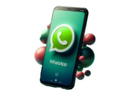 WhatsApp donne plus de visibilité aux « Statuts »