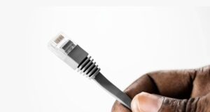 Censure en ligne : Le 12 mars milite pour la liberté d'expression en ligne