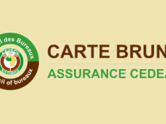 CEDEAO : La Carte Brune lorgne le numérique CEDEAO La Carte Brune lorgne le numérique