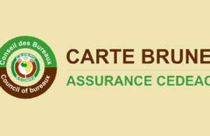 CEDEAO : La Carte Brune lorgne le numérique CEDEAO La Carte Brune lorgne le numérique