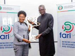 FARI 2025 : Clap de fin sur une note satisfaisante 