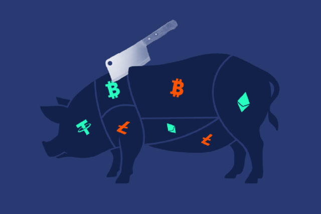 « Dépeçage de porcs » : une arnaque aux cryptos qui fait fureur