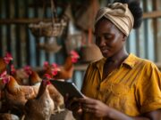 Internet Society Togo apporte internet au village d’Atti-Akakpé Internet Society Togo apporte internet au village d'Atti-Akakpé