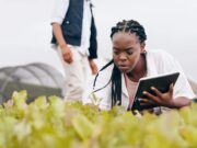 La BAD industrialise l’agritech africaine avec TAAT-III La BAD industrialise l'agritech africaine avec TAAT-III