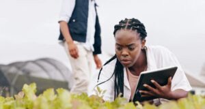 La BAD industrialise l'agritech africaine avec TAAT-III