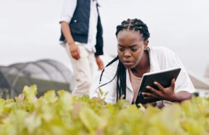 La BAD industrialise l’agritech africaine avec TAAT-III La BAD industrialise l'agritech africaine avec TAAT-III