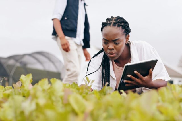 La BAD industrialise l'agritech africaine avec TAAT-III La BAD industrialise l'agritech africaine avec TAAT-III