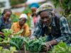 Nigeria : Quand l’IA devient le conseiller agricole de millions de producteurs Nigeria : Quand l'IA devient le conseiller agricole de millions de producteurs
