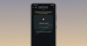 WhatsApp : un “mode invité” arrive pour discuter sans compte