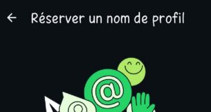 L'Inde suspend le déploiement des noms d'utilisateur WhatsApp