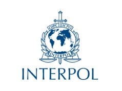 Serengeti III : Interpol annonce 1 462 arrestations en Afrique Serengeti III : Interpol annonce 1 462 arrestations en Afrique
