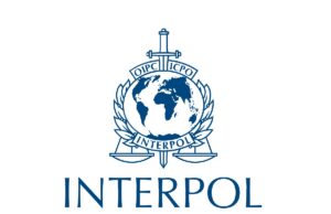 Serengeti III : Interpol annonce 1 462 arrestations en Afrique Serengeti III : Interpol annonce 1 462 arrestations en Afrique
