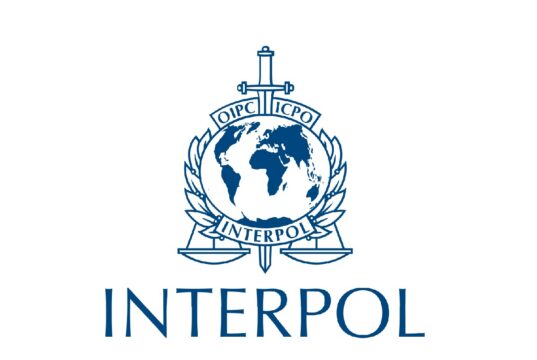 Serengeti III : Interpol annonce 1 462 arrestations en Afrique Serengeti III : Interpol annonce 1 462 arrestations en Afrique